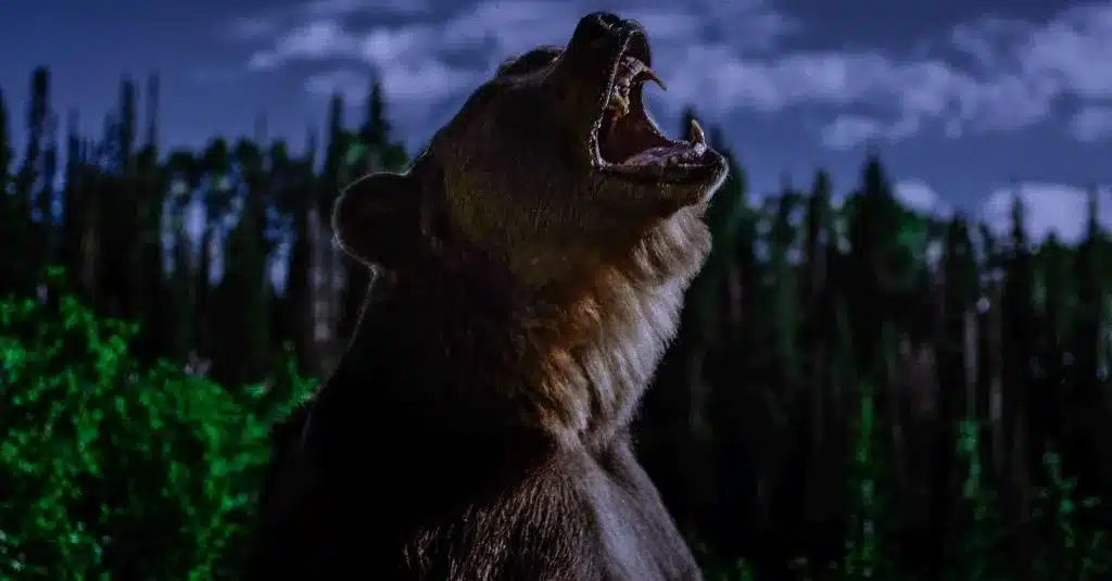 รีวิว Grizzly Night (2026)