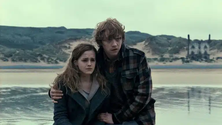 รีวิว Harry Potter and the Deathly Hallows Part 1 (2010)