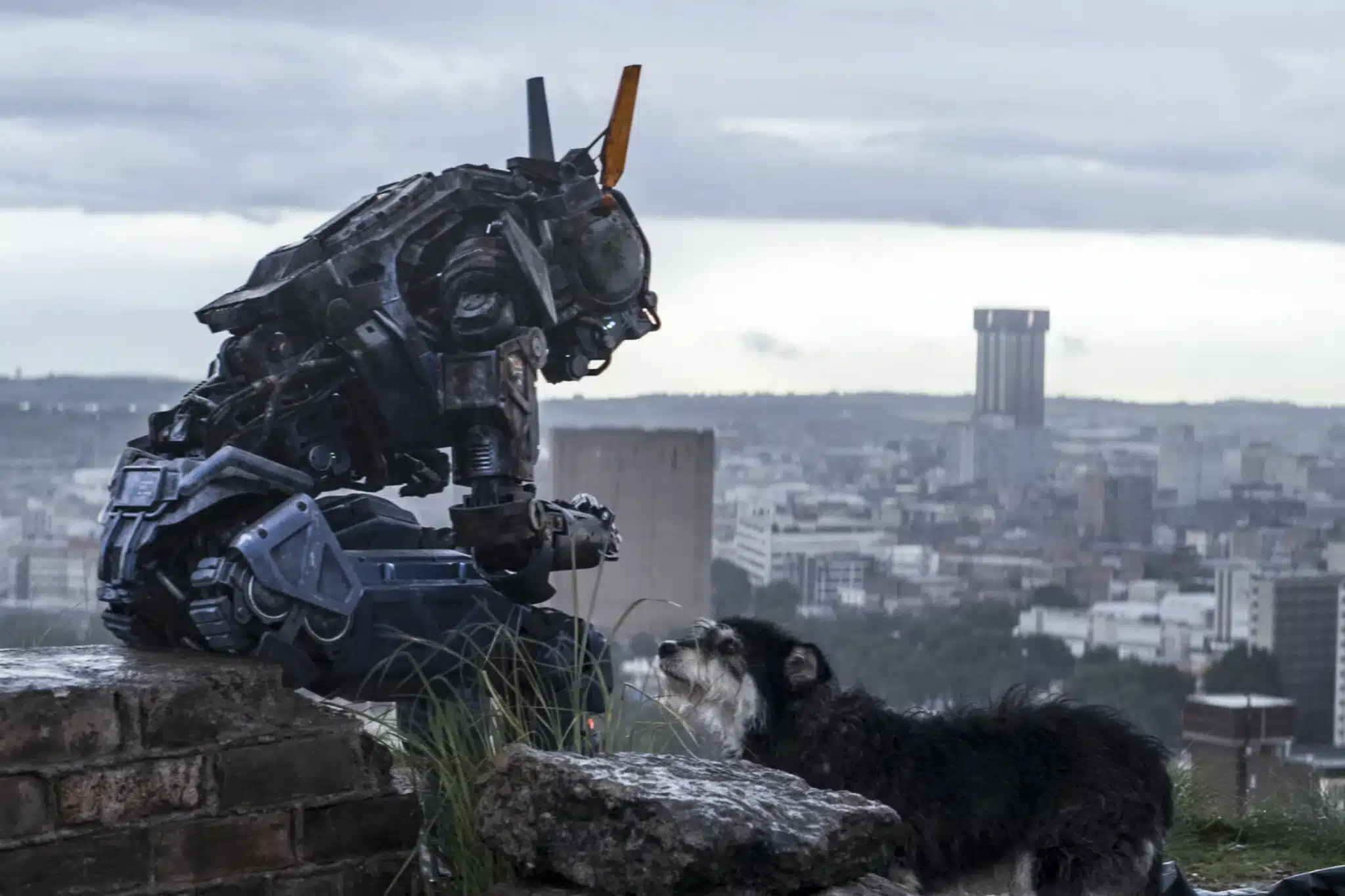 รีวิว Chappie (2015)